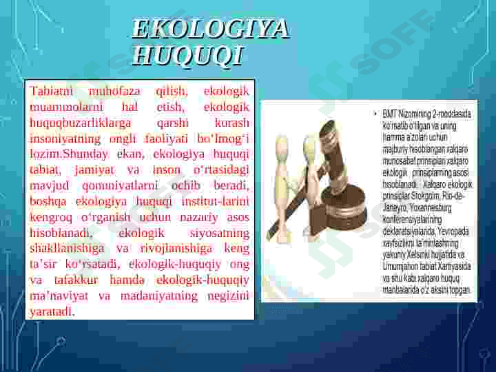 EKOLOGIYA VA HUQUQ. TABIAT MUHOFAZASINING HUQUQIY ASOSLARI, UNING MAQSAD VA VAZIFALARI 5