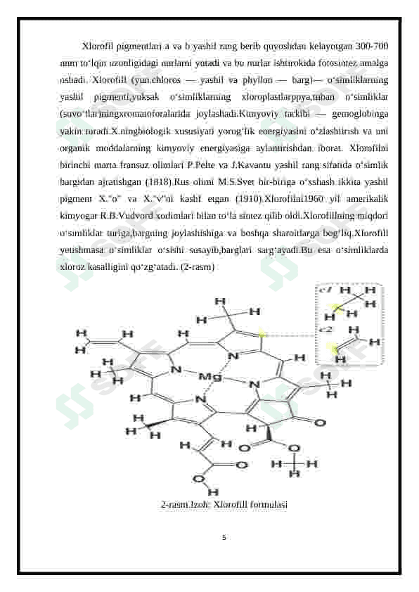 Plastida pigmentlari va ularni fotosintezdagi roli 5