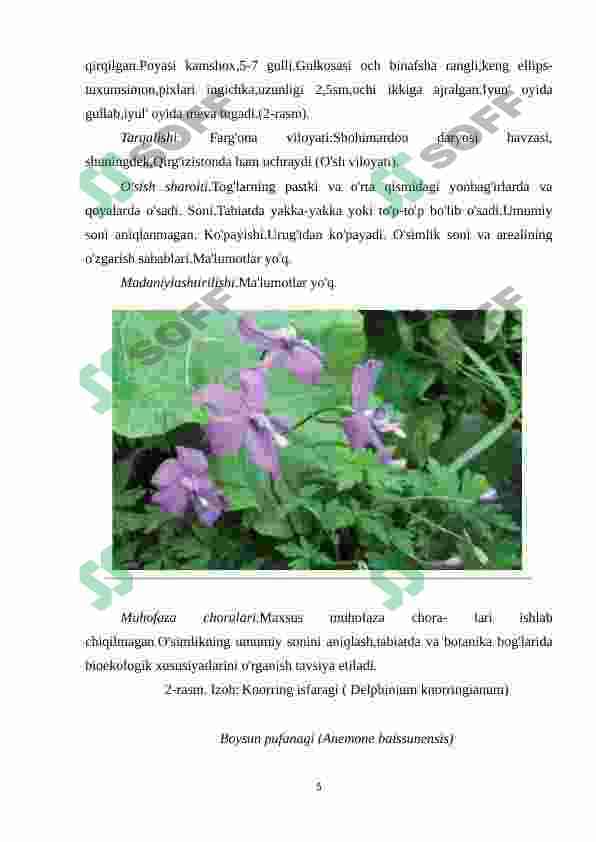 O`zbekiston Respublikasi Qizil kitobi 5