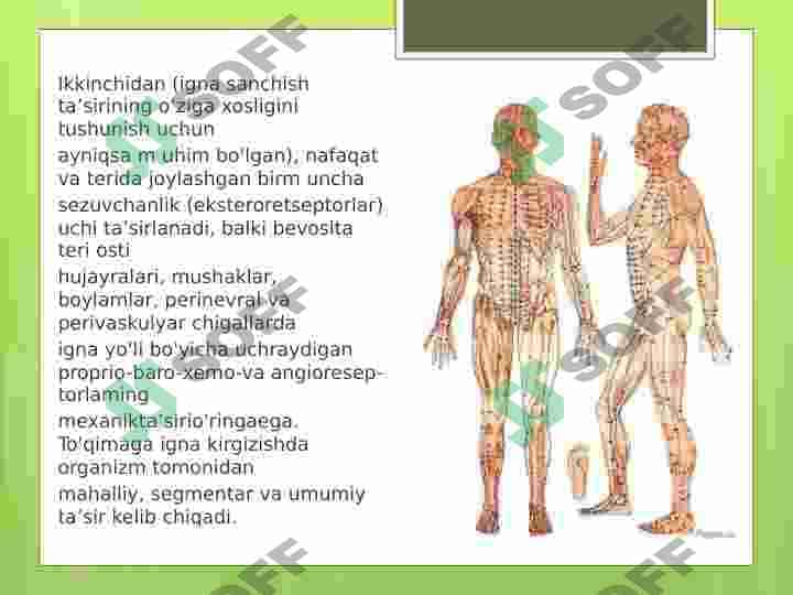 Igna sanchish taʼsir mexanizmi 5