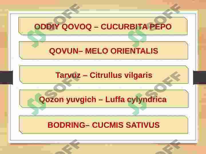 QOVOQDOSHLAR OILASI CUCURBITACEAE 5