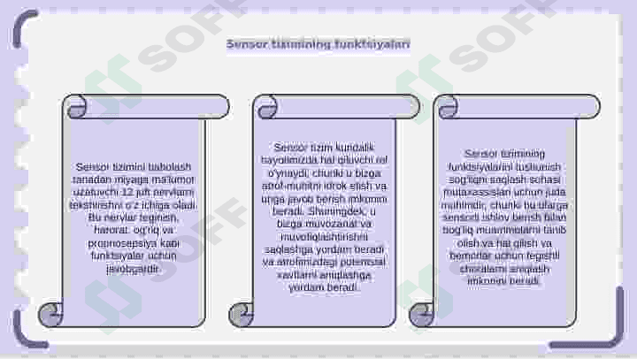 sezgi tizimini baholash 5