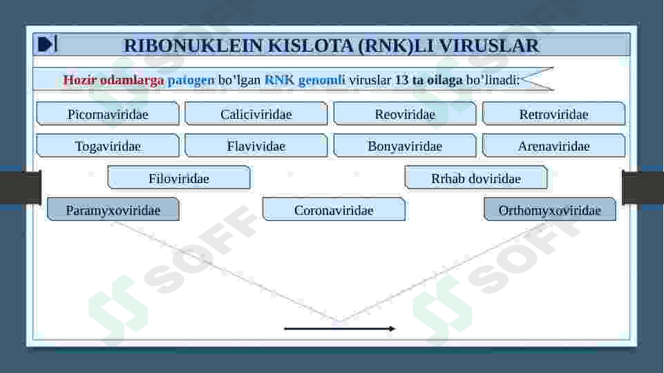 RNK SAQLOVCHI VIRUSLAR KELTIRIB CHIQARUVCHI YUQUMLI KASALLIK QO’ZG’ATUVCHILARI. ORTOMIKSOVIRUSLAR, PARAMIKSOVIRUSLAR. XARAKTERISTIKA VA LABAROTORIYA TASHXISI. 5