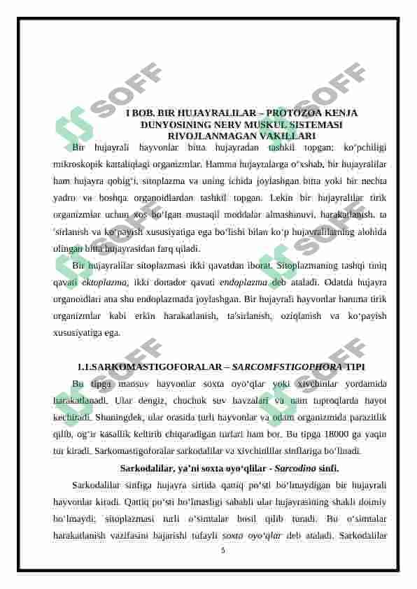 Muskul va nerv sistemasi rivojlanmagan hayvonlar 5