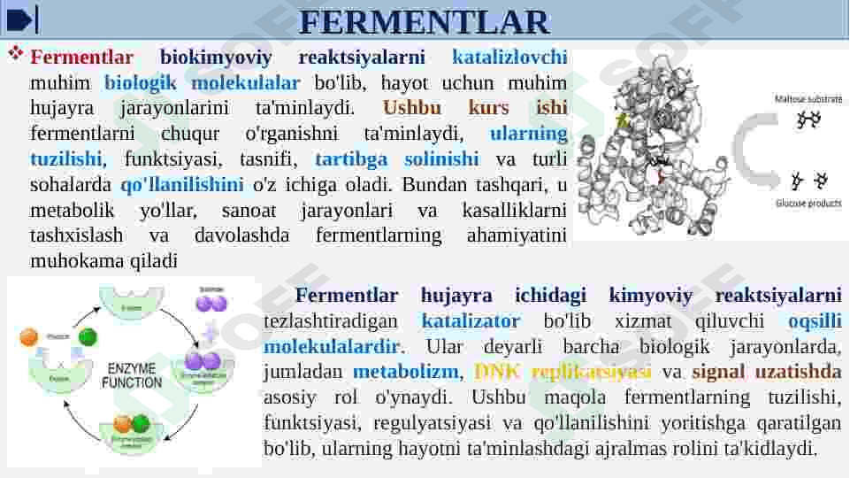 Fermentlar faolligini oshqozon kislotaliligini gipoatsid va giperatsid xolatlarda o’zgarishi va tiklash choralari 5