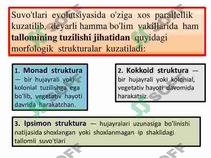 Koʻk yashil suvoʻtlar sinf 5