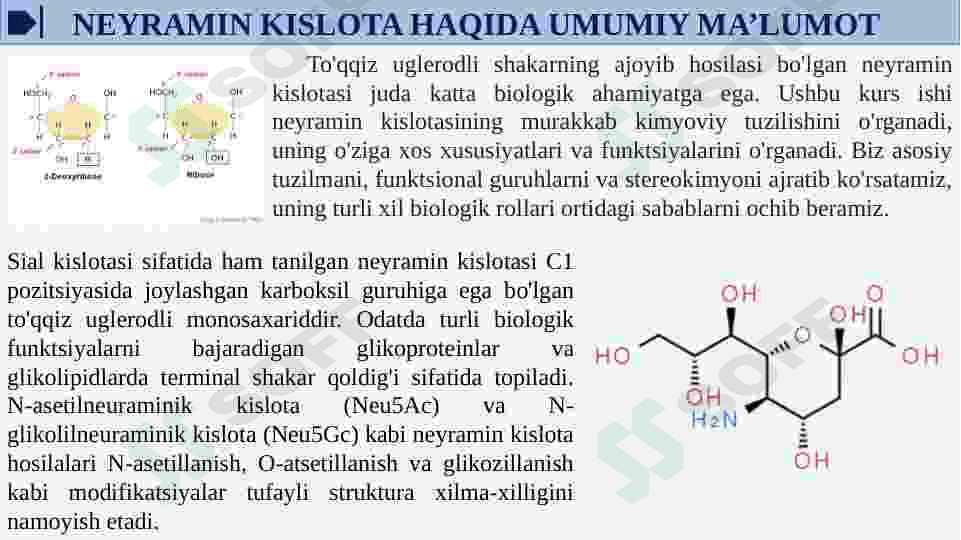 Neyramin kislota va uning xosilalarining tuzulishi va biologik xossalari.Sial kislotalar 5