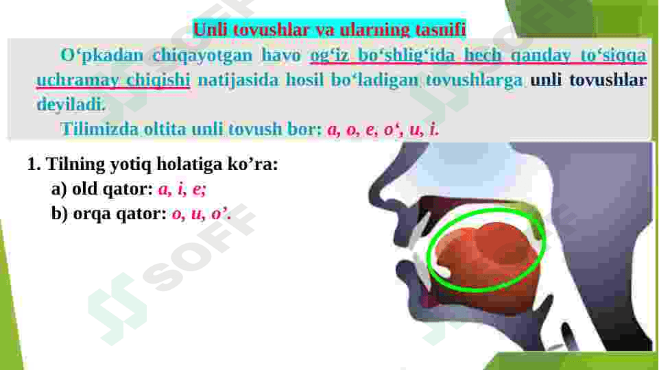 Fonetika haqida umumiy tushuncha. 5