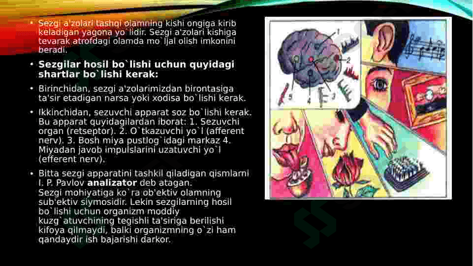 Psixik jarayonlar va miyaning o‘zaro aloqadorligi 5