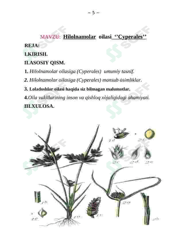 Hilolnamolar oilasi 5