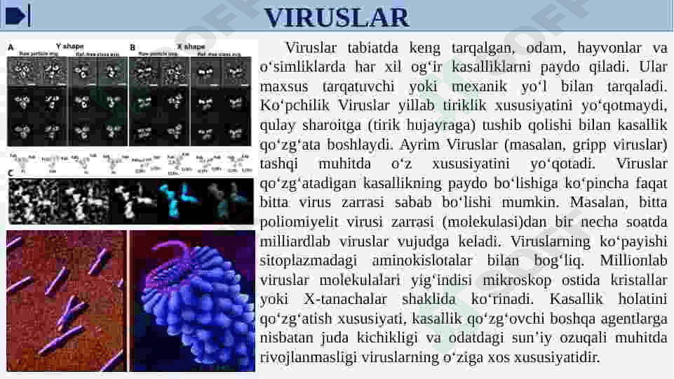 Viruslarga va o’smalarga qarshi dori vositalarning ta’sir mexanizmi(DNK, RNK fermentlariga nisbatan) 6