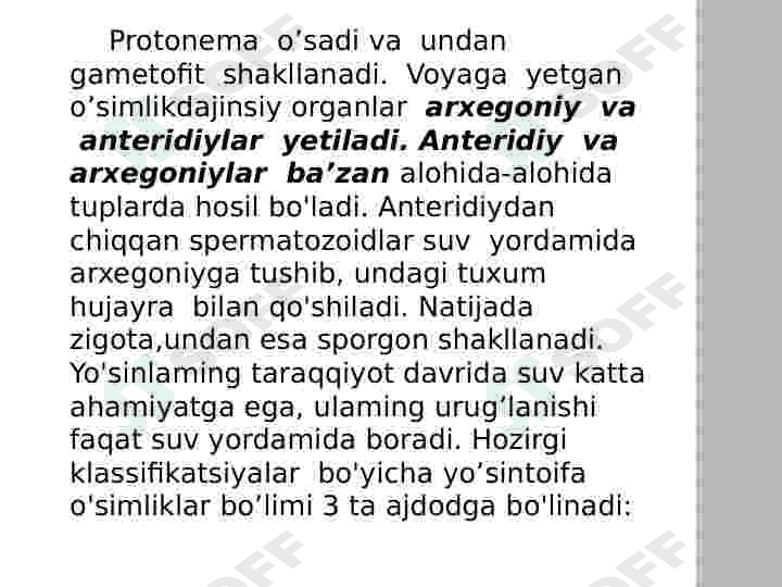 Yoʻsintoifa  sinfi 6