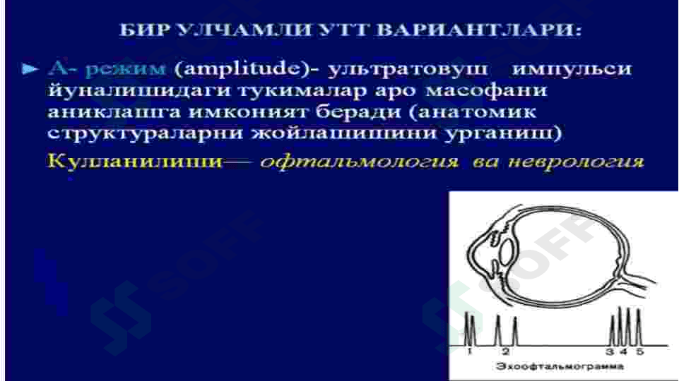 MRT RADIOLOGIYA 6