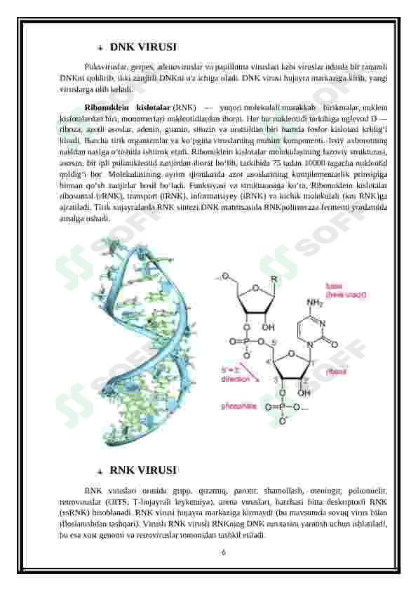 Viruslar va o'smalar ta'siriga qarshi dori vositalarining tashqi mexanizmi (DNK, RNK) 6