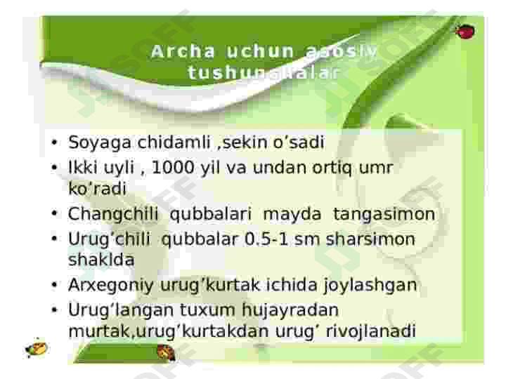 Sarvnamolar qabilasi 6