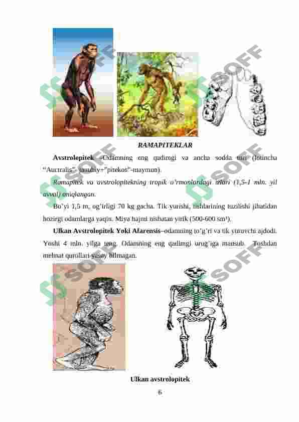 ANTROPOGENEZ 6