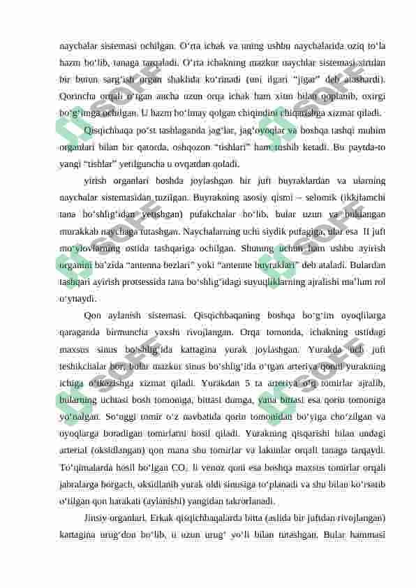 Bog'imoyoqlilar tipi. Qisqichbaqasimonlar sinfi.daryo qisqichbaqasining tashqi tuzilisi,tana bo'limlari oyoqlari,tana qoplag'ichi. 6