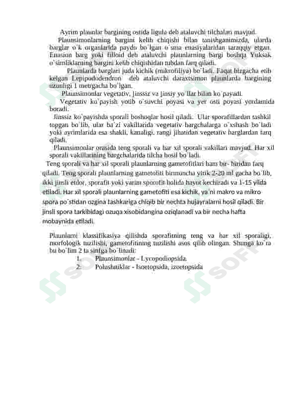 Plauntoifalilar sinfi 6
