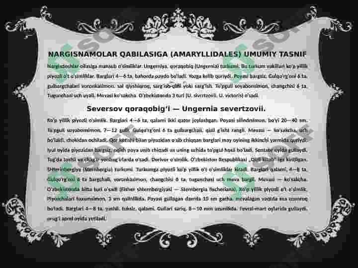 Nargisnamolar qabilasi 6