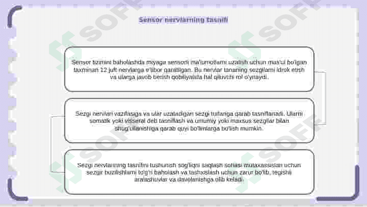 sezgi tizimini baholash 6
