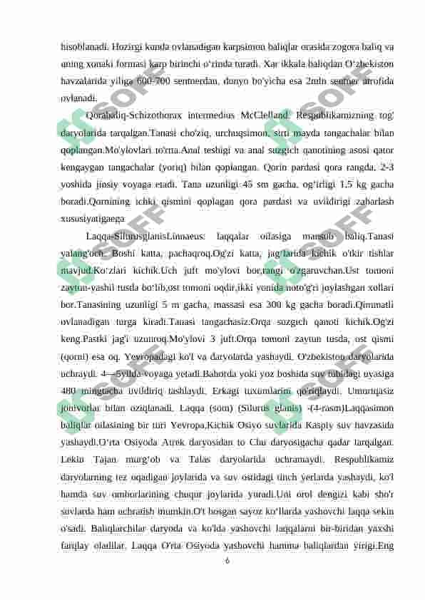O’rta Osiyo tekisliklari, suv havzalari va tog’li hududlarida yashovchi umurtqali hayvonlar 6