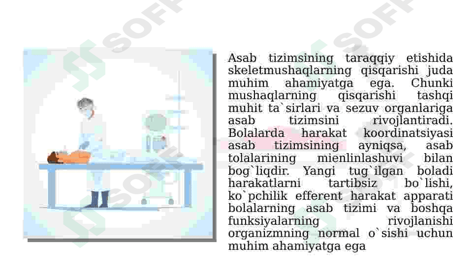 YOSH FIZIOLOGIYASI VA GIGIENASI 6