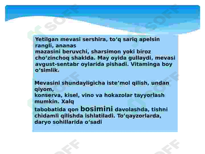 Jiydanamolar qabilasi 6