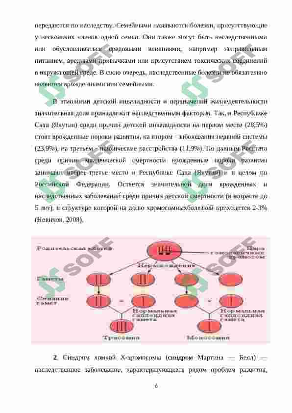 Наследственность и наследственные болезни 6