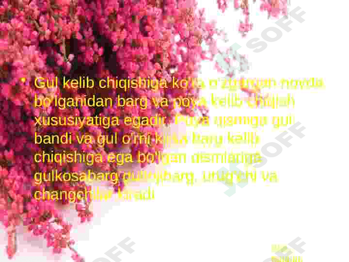 Gul va uning turlari 6