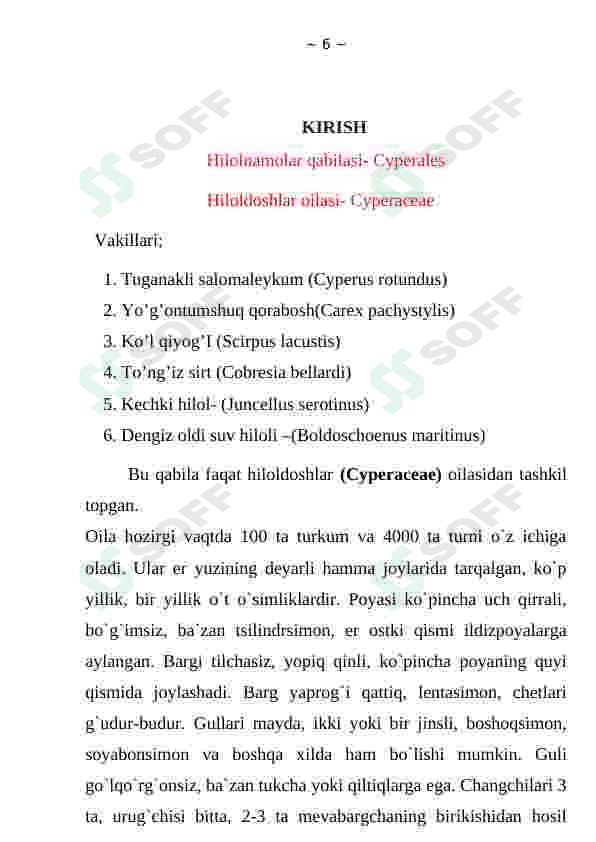 Hilolnamolar oilasi 6