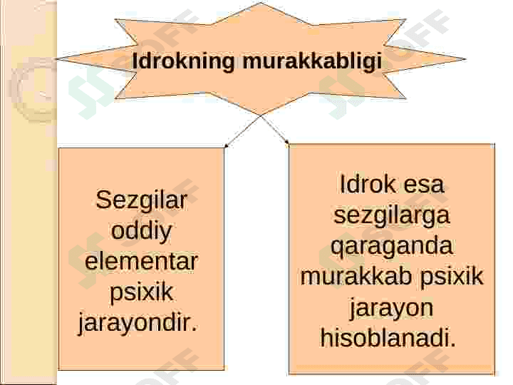 Idrok haqida tushuncha 6