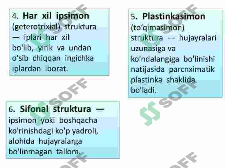 Koʻk yashil suvoʻtlar sinf 6