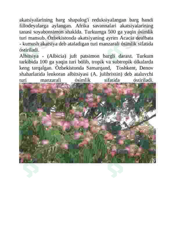 Burchoqdoshlar oilasi 6