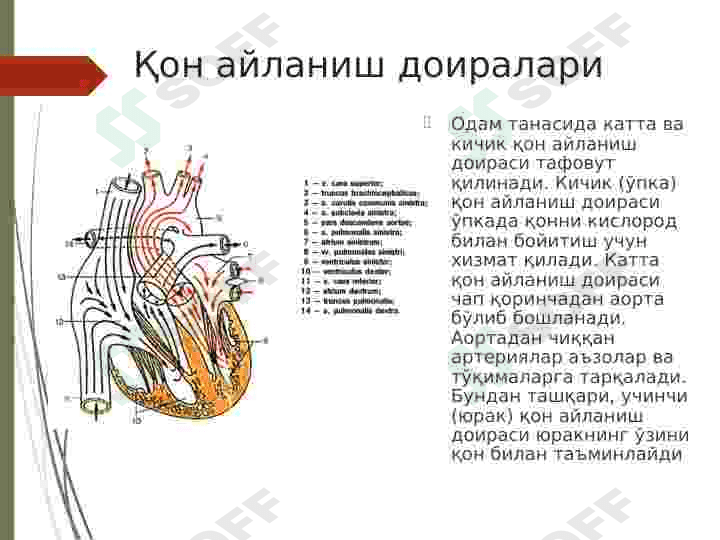 YURAKNI TEKSHIRISH USULLARI 6
