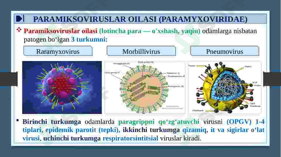 RNK SAQLOVCHI VIRUSLAR KELTIRIB CHIQARUVCHI YUQUMLI KASALLIK QO’ZG’ATUVCHILARI. ORTOMIKSOVIRUSLAR, PARAMIKSOVIRUSLAR. XARAKTERISTIKA VA LABAROTORIYA TASHXISI. 6