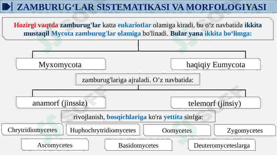 ZAMBURUG’LAR KELTIRIB CHIQARUVCHI KASALLIKLAR(YUZA VA CHUQUR MIKOZ QO’ZG’ATUVCHILARI) LABARATORIYA TASHXISI.PARAZITAR KASALLIKLAR: LESHMANIOZ, MALYARIYA. 6