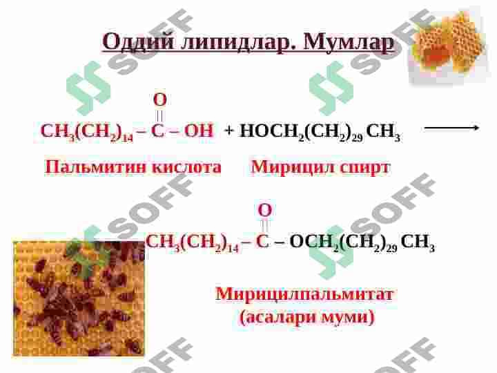 Sovunlanadigan lipidlar 7