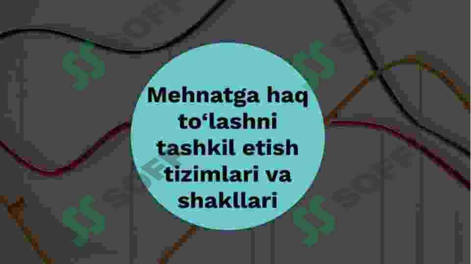 Mehnat va ish haqini hisobga olish 7