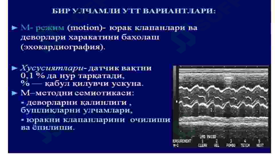 MRT RADIOLOGIYA 7