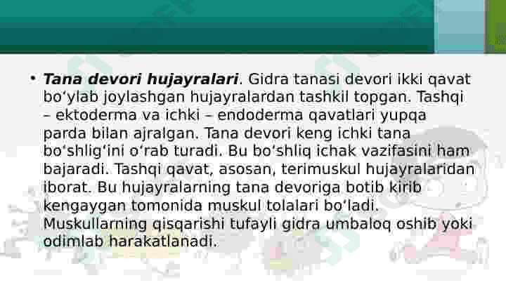 O‘simliklarning hujayraviy tuzilishi 7