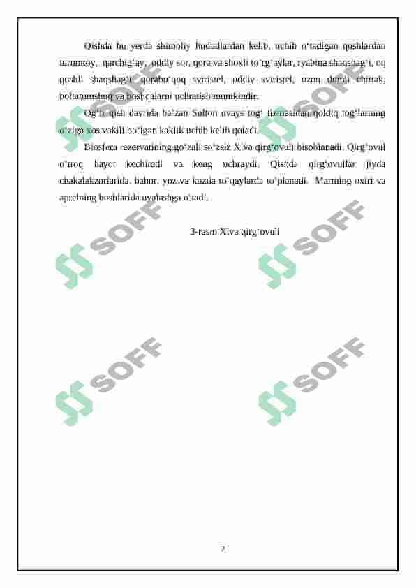 Qaraqalpiĝistonning agrolandshaftlarida tarqalgan qushlar 7