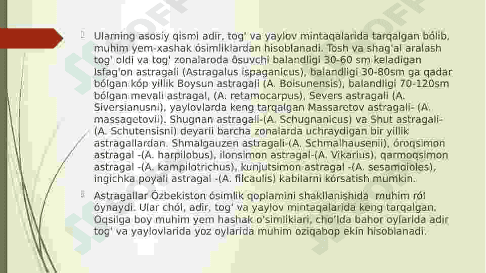 Burchoqdoshlar oilasi 7