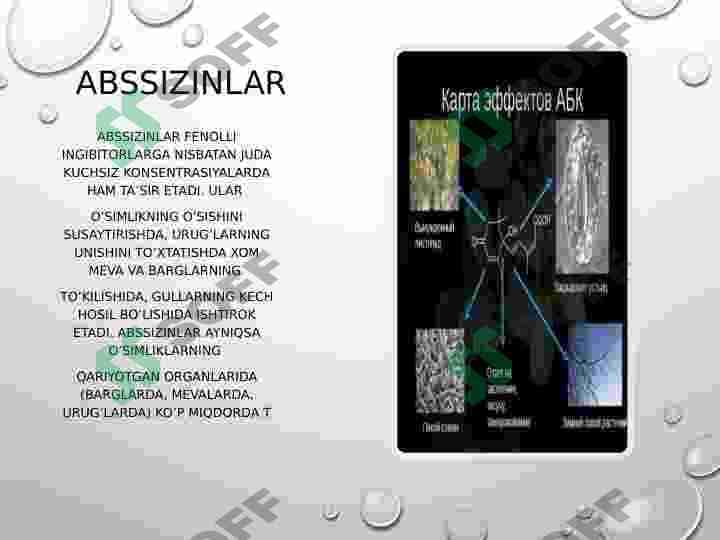 Auksin,Gibberelin,Sitokinin,Abssizin,Etilen, va boshqa fitogarmonlar xossalari, va fiziologik vazifasi, elektrofiziologik regulyatsiya 7