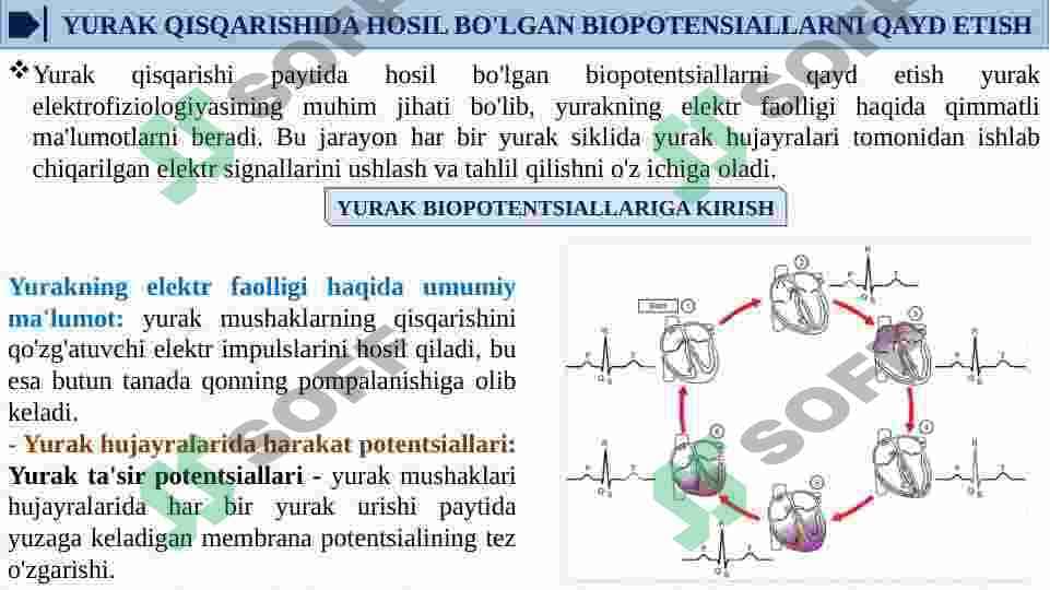 HUJAYRA MEMBRANALARIDA BIOPOTENSIALLARNI HOSIL BO'LISHI. YURAK QISQARISHIDA HOSIL BO'LGAN BIOPOTENSIALLARNI QAYD ETISH. ELEKTROKARDIOGRAFIYA. ELEKTROGRAMMALAR. EYNTXOVENNNING TARMOQLANISH NAZARIYASI 7
