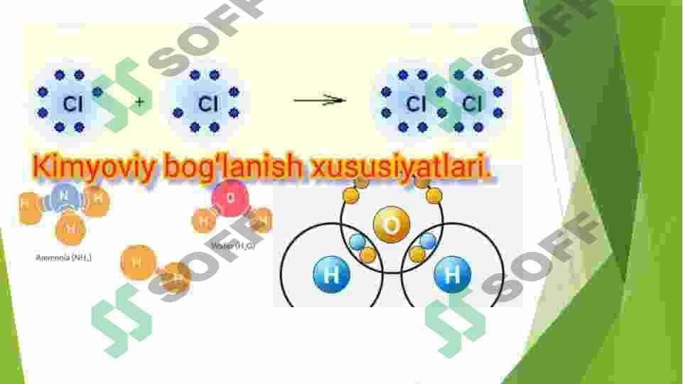 Sitoplazmaning harakati, Protoplazmaning qovushqoqligi va elastikligi 7