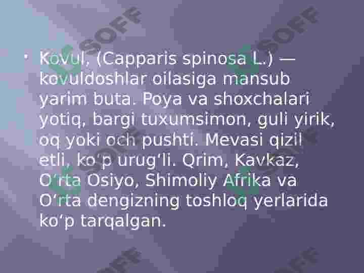 Kovulnomalar qabilasi 7