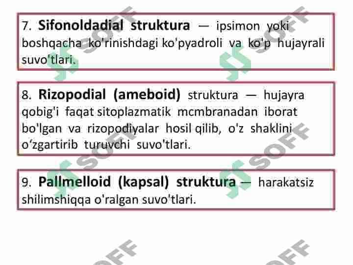 Koʻk yashil suvoʻtlar sinf 7