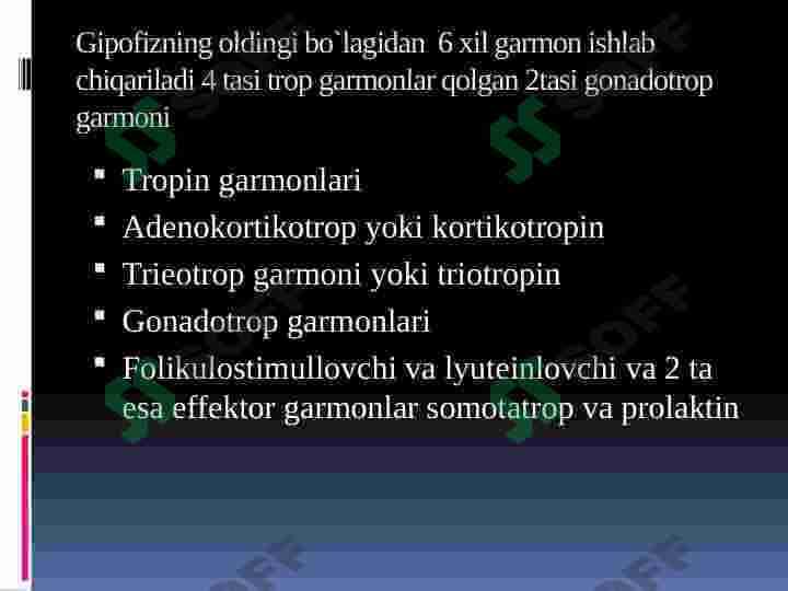 ENDOKRIN BEZLARI 7