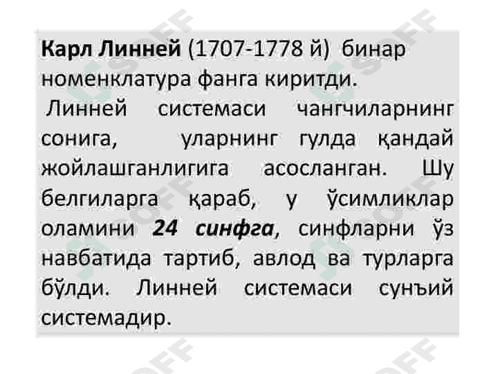 Oʻsimlik hujayrasining tuzilishi va rivojlanish bosqichlari 7