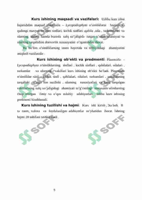 plauntoifa o'simliklar bo'limi 7